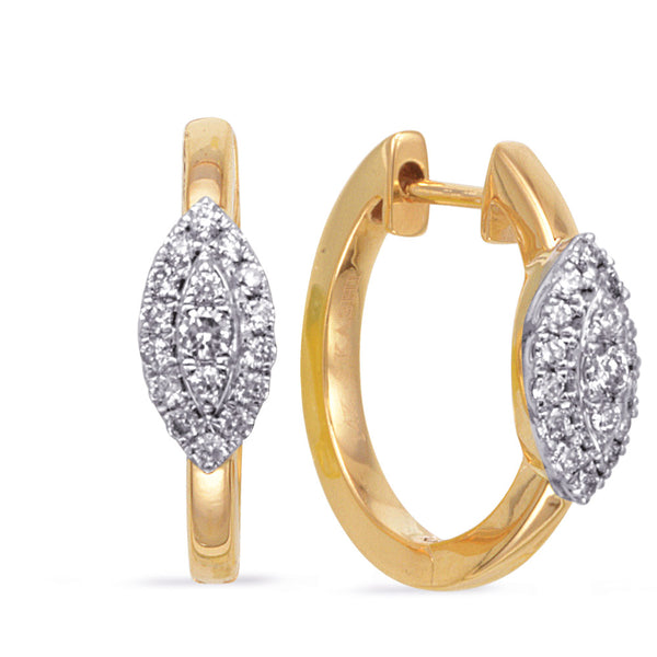 Yellow & White Gold Diamond Earring - E8137YW