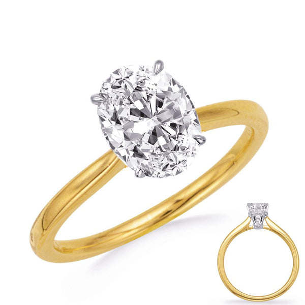 Yellow & White Gold Engagement Ring - EN8344-6X4OVYW