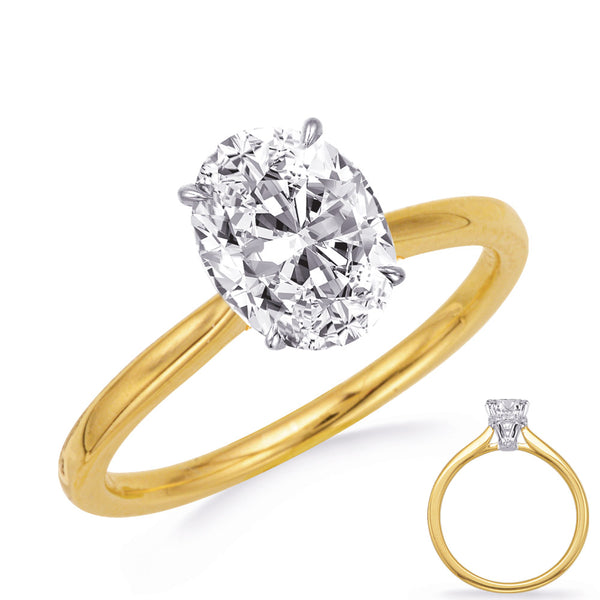 Yellow & White Gold Engagement Ring - EN8389-6X4OVYW