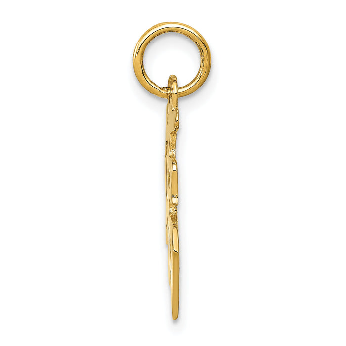 10k Good Luck Charm-10A1582