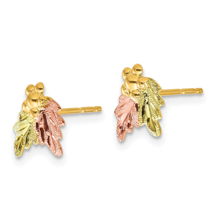 10k Tri-color Black Hills Gold Post Earrings-10BH644