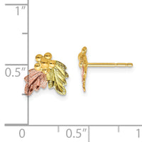 10k Tri-color Black Hills Gold Post Earrings-10BH644
