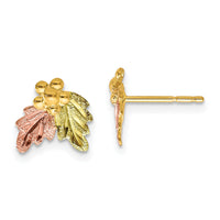 10k Tri-color Black Hills Gold Post Earrings-10BH644