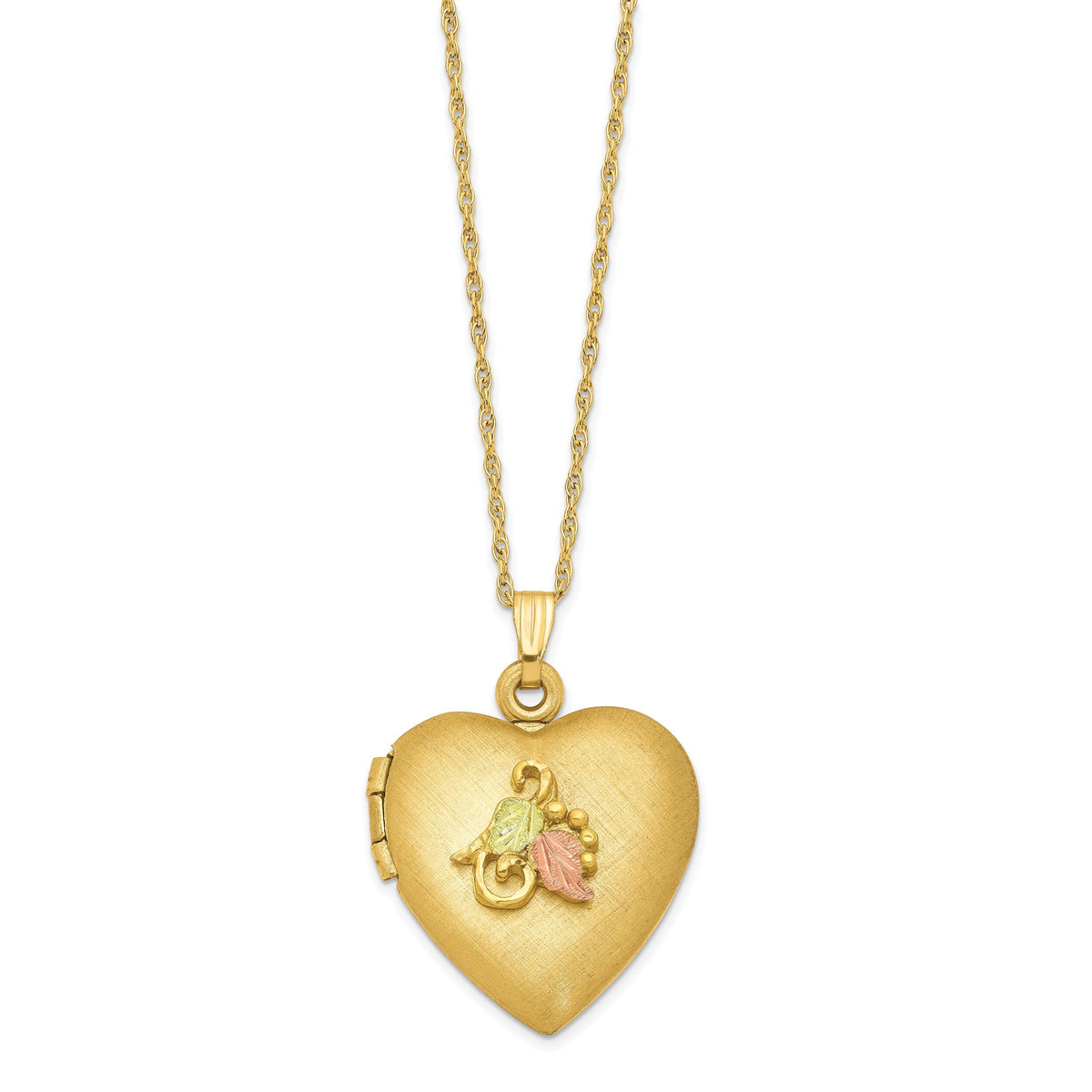 10K w/12k Accents and 14k Gold-filled Chain Black Hills Locket-10BH673-18