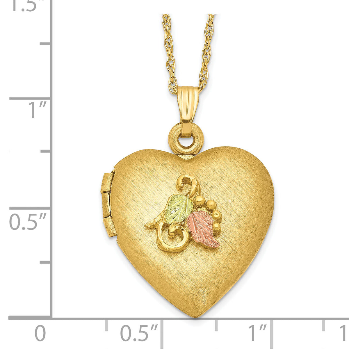 10K w/12k Accents and 14k Gold-filled Chain Black Hills Locket-10BH673-18