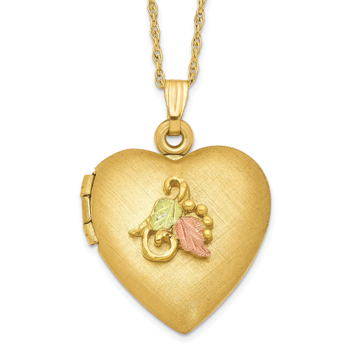 10K w/12k Accents and 14k Gold-filled Chain Black Hills Locket-10BH673-18