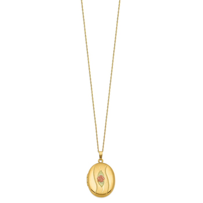 10K w/ 12k Accents and 14k Gold-filled Chain Black Hills Locket-10BH677-18