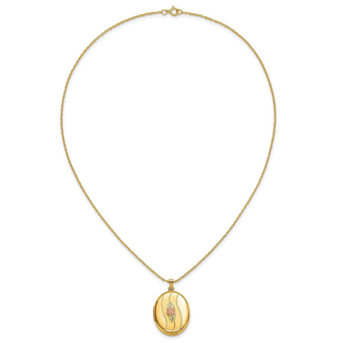 10K w/ 12k Accents and 14k Gold-filled Chain Black Hills Locket-10BH677-18