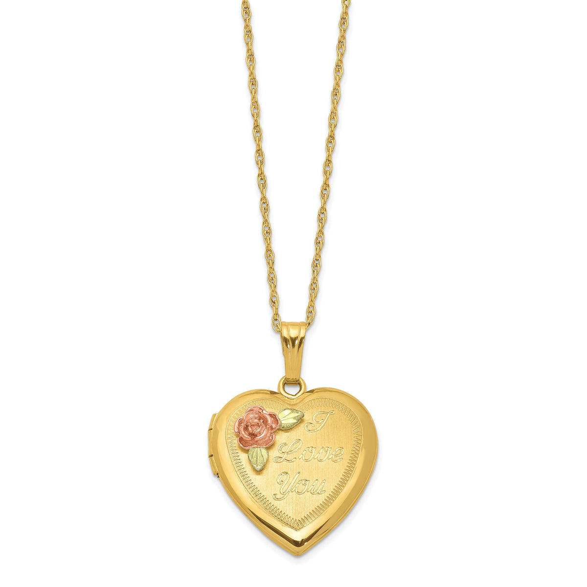 10k w/ 12k Accents and 14k Gold-filled Chain Black Hills Locket-10BH680-18