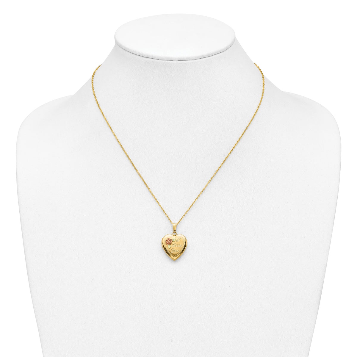 10k w/ 12k Accents and 14k Gold-filled Chain Black Hills Locket-10BH680-18