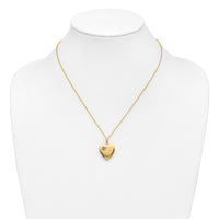 10k w/ 12k Accents and 14k Gold-filled Chain Black Hills Locket-10BH680-18