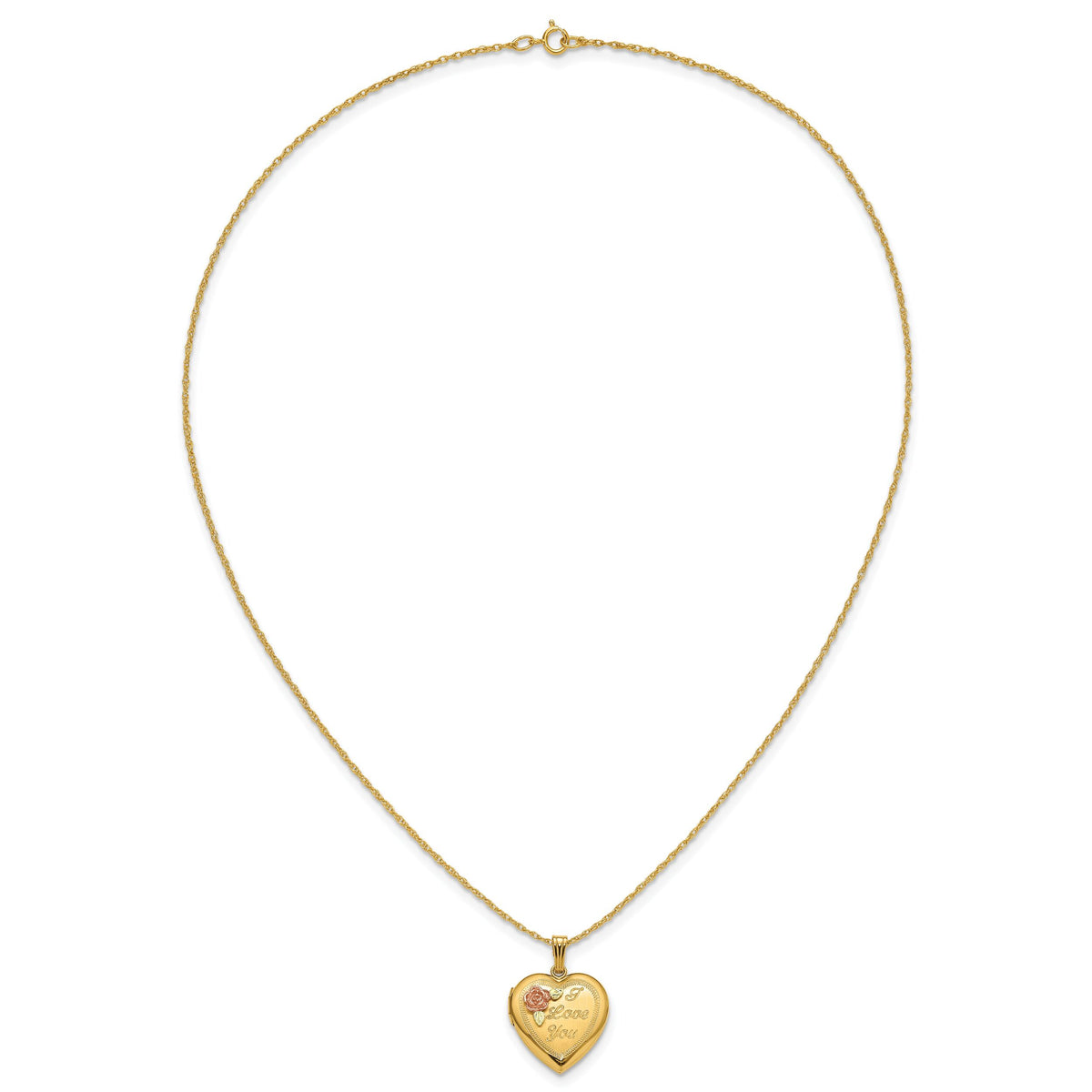 10k w/ 12k Accents and 14k Gold-filled Chain Black Hills Locket-10BH680-18