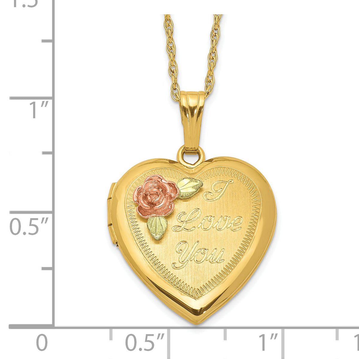 10k w/ 12k Accents and 14k Gold-filled Chain Black Hills Locket-10BH680-18