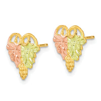 10k Tri-Color Black Hills Gold Post Earrings-10BH684