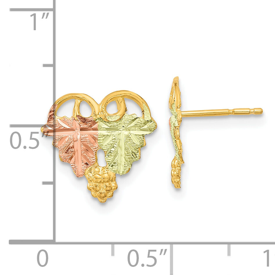 10k Tri-Color Black Hills Gold Post Earrings-10BH684
