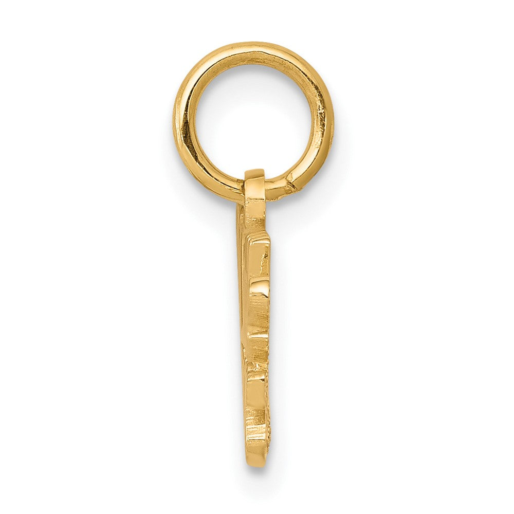 10k LITTLE PRINCESS with Crown Charm-10C113