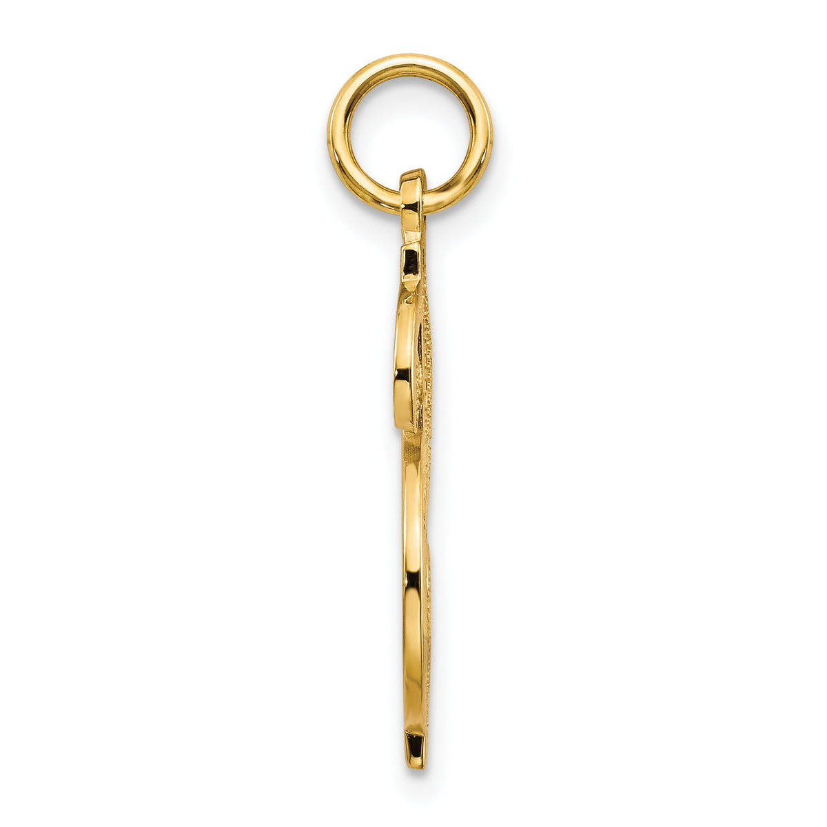 10k Solid Polished Dollar Sign Charm-10C124