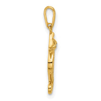 10K Polished CZ Seahorse Charm-10C1495