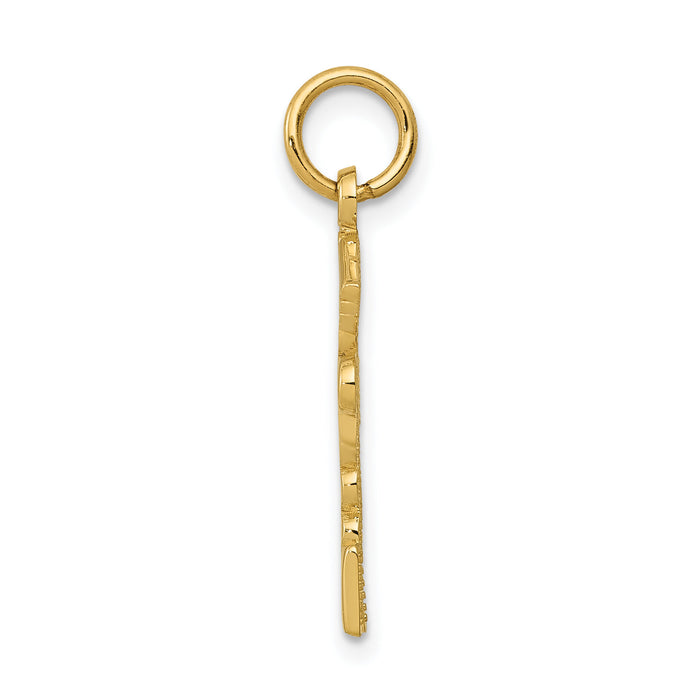 10k Registered Nurse Practitioner Charm-10C1787
