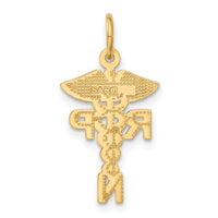 10k Registered Nurse Practitioner Charm-10C1787