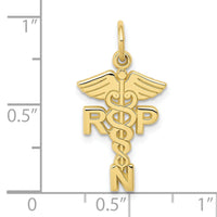 10k Registered Nurse Practitioner Charm-10C1787