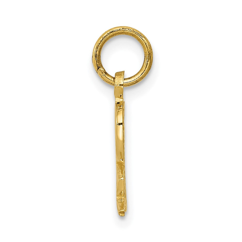 10k Prescription Symbol RX Charm-10C2272