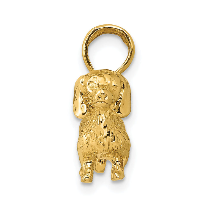 10k Solid Polished 3-Dimensional Wire Haired Dachshund Charm-10C2360