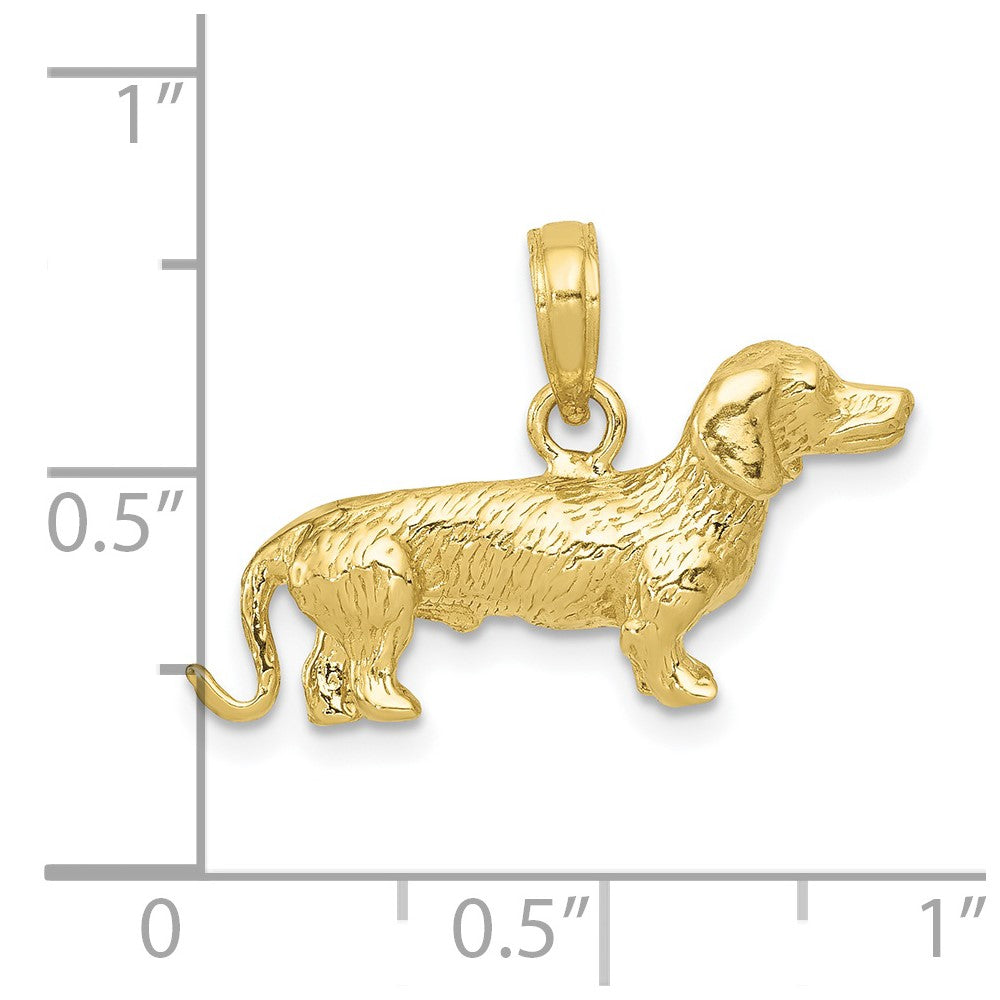 10k Solid Polished 3-Dimensional Wire Haired Dachshund Charm-10C2360