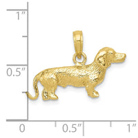 10k Solid Polished 3-Dimensional Wire Haired Dachshund Charm-10C2360