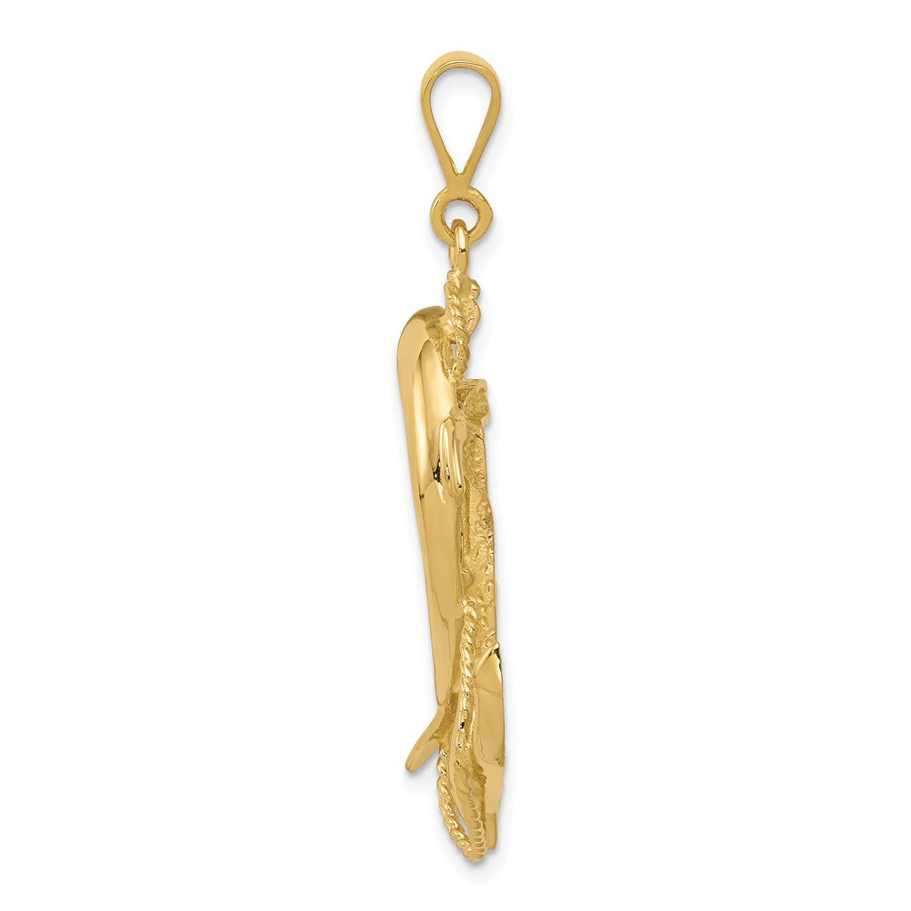 10k Solid Polished Anchor with Dolphin Pendant-10C2489