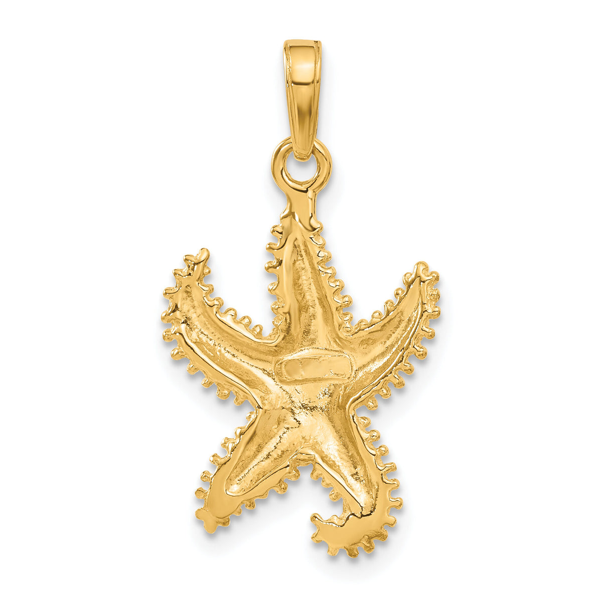 10K Polished Open-Backed Starfish Pendant-10C2537