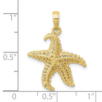 10k Polished Open-Backed Starfish Pendant-10C2538