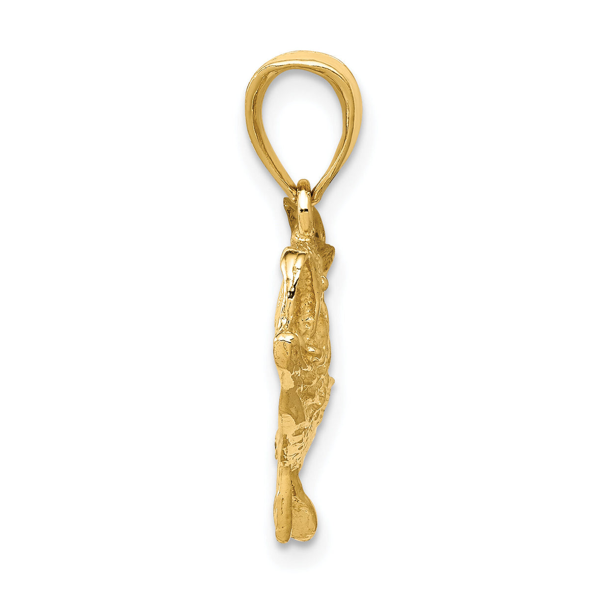 10K Polished Open-Backed Bass Fish Pendant-10C2574
