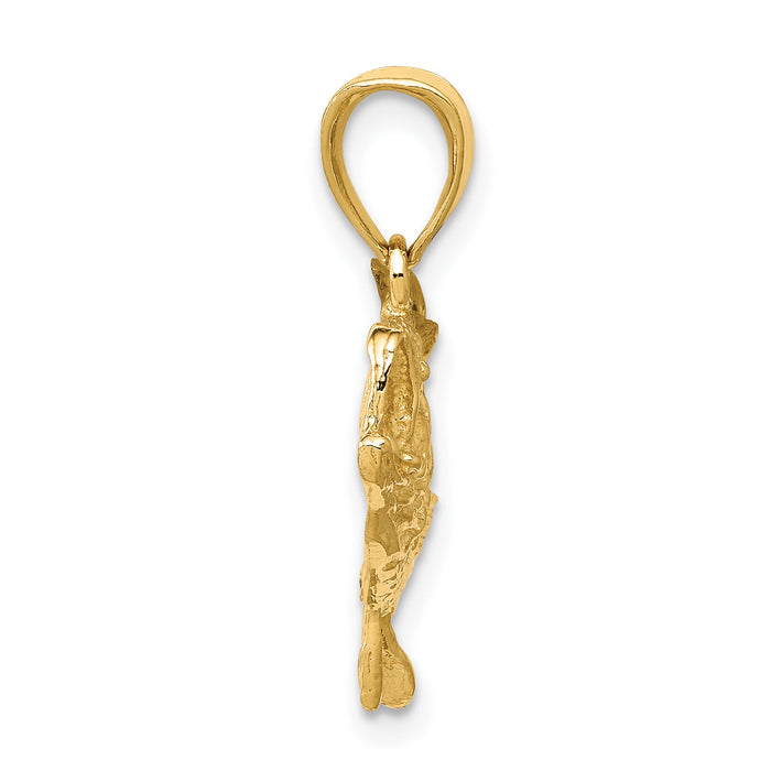 10K Polished Open-Backed Bass Fish Pendant-10C2574