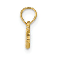 10K Nurse Pendant-10C2963