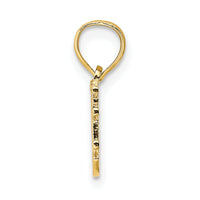 10k SOMEONE SPECIAL Charm-10C2996