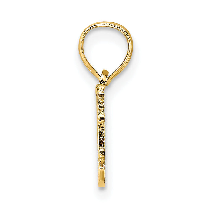 10k SOMEONE SPECIAL Charm-10C2996