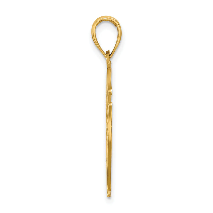 10k VFD Ladies AUX  Shield Charm-10C3106