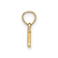 10K RN Pendant-10C3110