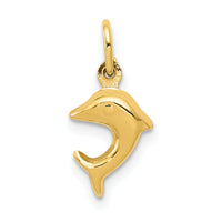 10k Dolphin Charm-10C3438