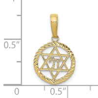 10K Star Of David And Chai In Circle Pendant-10C4459