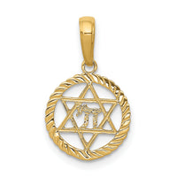 10K Star Of David And Chai In Circle Pendant-10C4459