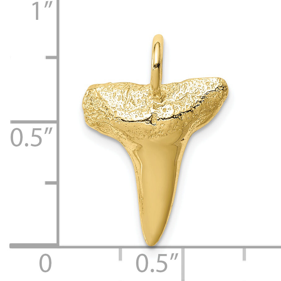 10K Shark Tooth Pendant-10C4589