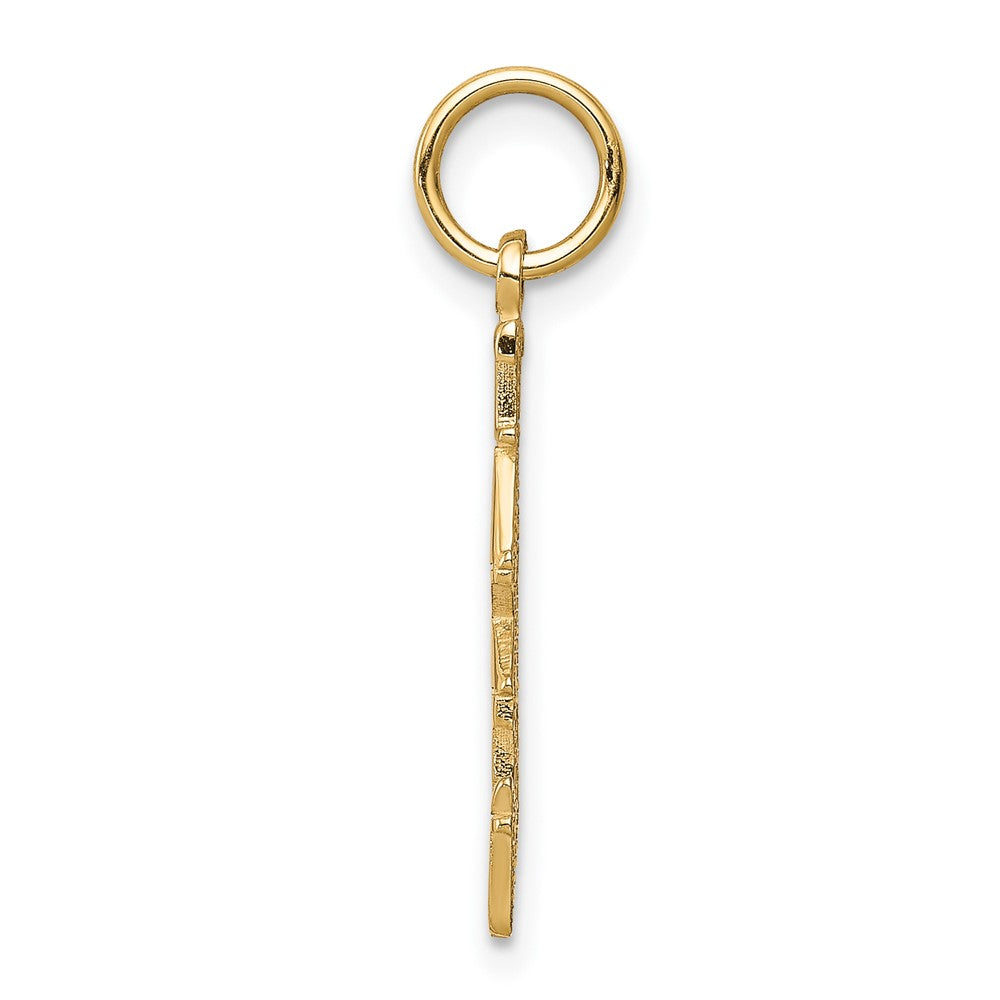 10k Talking - TAKEN Charm-10C489