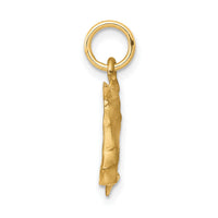 10k Solid Satin Horsehead with Reins Charm-10C573