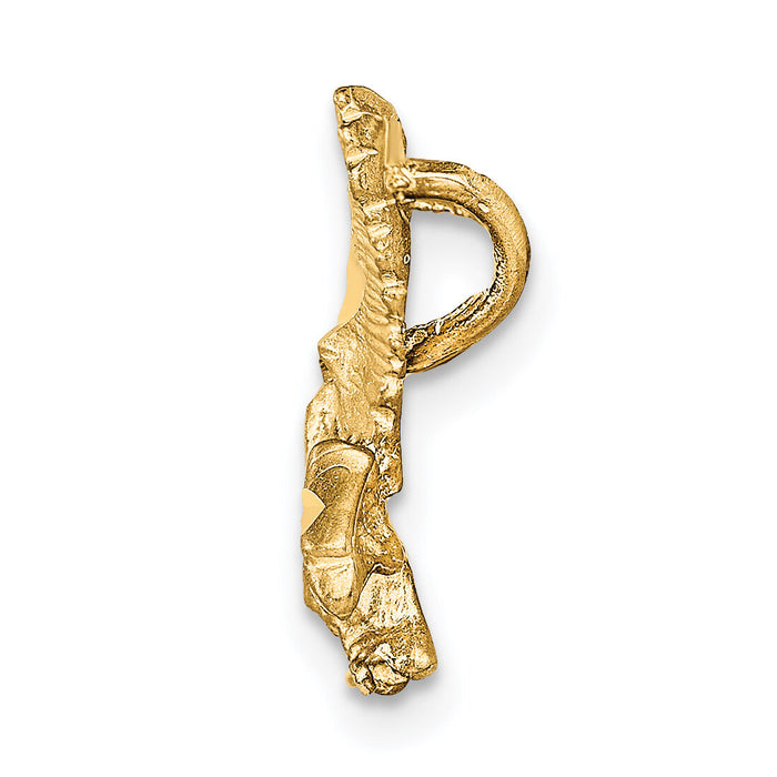 10k Solid Diamond-cut Eagle Charm-10C627