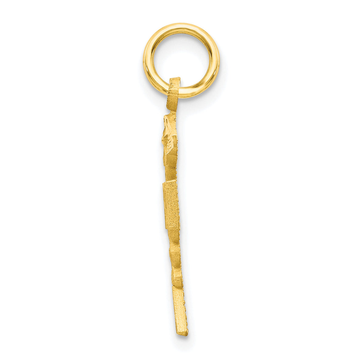 10k Solid Registered Nurse Charm-10C743