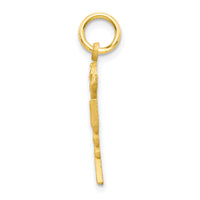 10k Solid Registered Nurse Charm-10C743