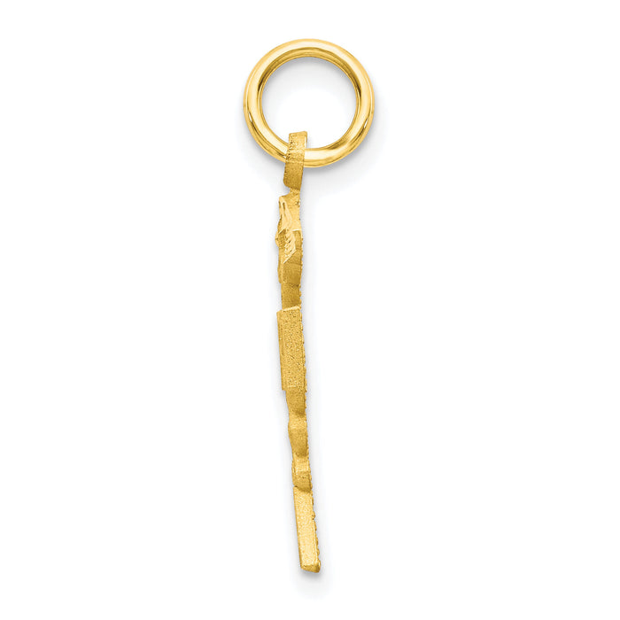10k Solid Registered Nurse Charm-10C743