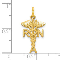 10k Solid Registered Nurse Charm-10C743